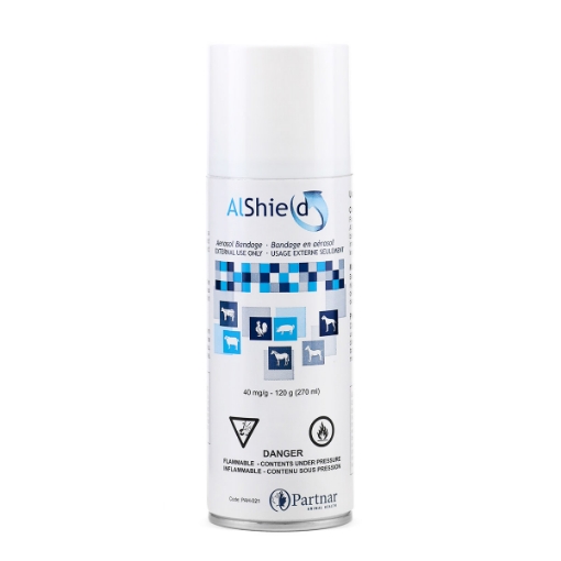 Picture of ALSHIELD AEROSOL BANDAGE SPRAY - 120gm