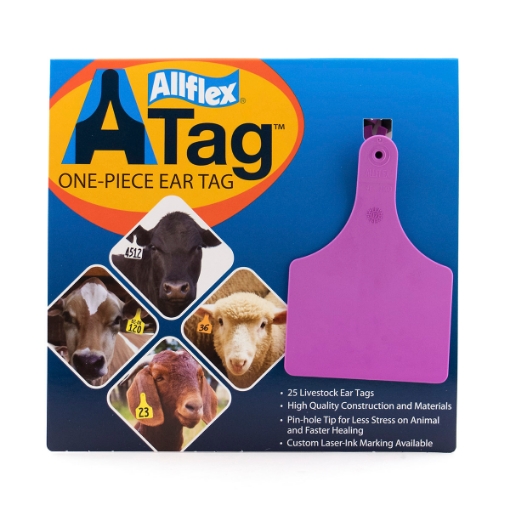 Picture of ALLFLEX  A-TAG COW one piece PURPLE BLANK - 25's