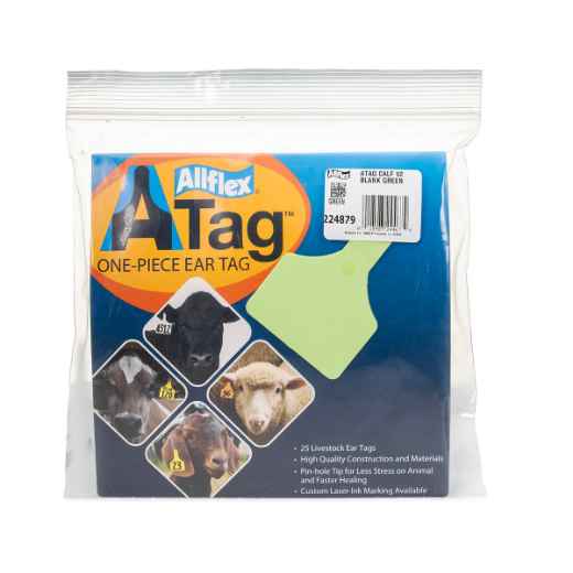 Picture of ALLFLEX  A-TAG CALF V2 one piece GREEN BLANK - 25/bag