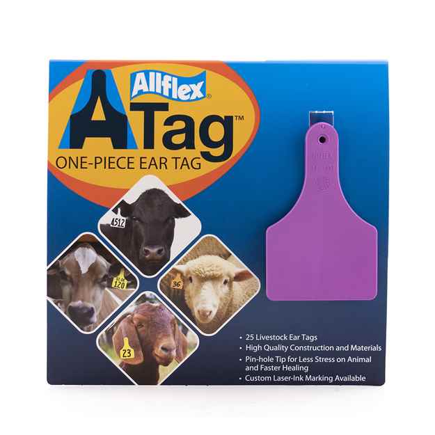 Picture of ALLFLEX  A-TAG CALF one piece PURPLE BLANK - 25's