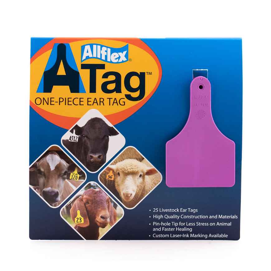 Picture of ALLFLEX  A-TAG CALF V2 one piece PURPLE BLANK - 25/bag