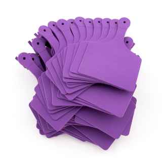 Picture of ALLFLEX  A-TAG FEEDLOT one piece DK PURPLE BLANK - 50/bag