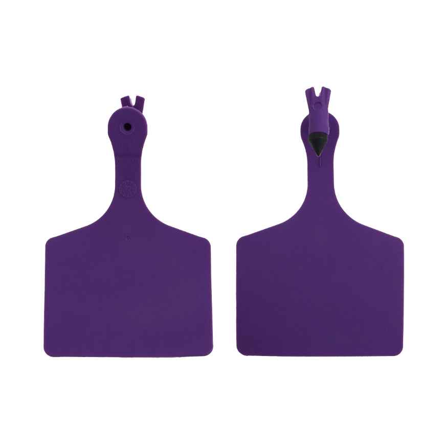 Picture of ALLFLEX  A-TAG FEEDLOT one piece DK PURPLE BLANK - 50/bag