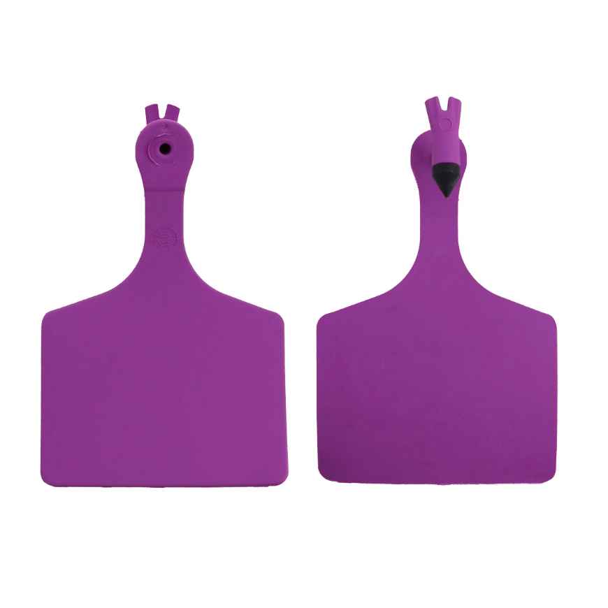 Picture of ALLFLEX  A-TAG FEEDLOT one piece LT PURPLE BLANK - 50/bag