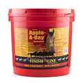 Picture of FINISH LINE APPLE EH ELECTROLYTES FOR HORSES - 15lb / 6.82kg