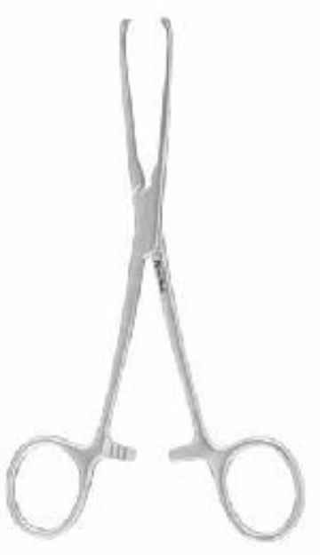 Picture of MILTEX ALLIS TISSUE FORCEPS 4 x 5 TEETH 6 inch (MH16-6)