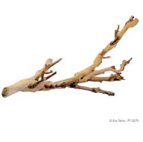 Show details for EXO TERRA Forest Branch (PT3075) - Small Picture of EXO TERRA Forest Branch (PT3075) - Small