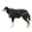 Show details for BACK ON TRACK DOG RUG Black - 40cm Picture of BACK ON TRACK DOG RUG Black - 40cm