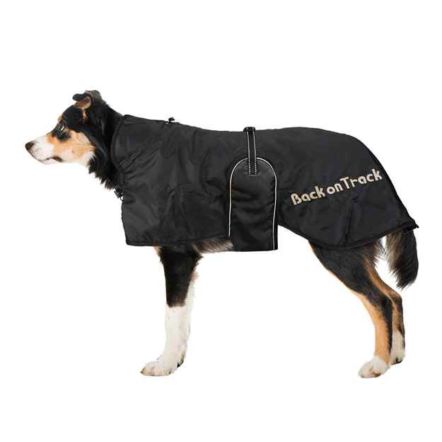 Picture of BACK ON TRACK DOG RUG Black - 40cm