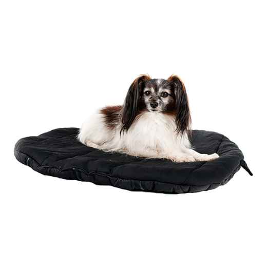 Picture of BACK ON TRACK DOG TRAVEL MATTRESS Black - 50cm x 60cm