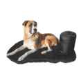 Picture of BACK ON TRACK DOG TRAVEL MATTRESS Black - 50cm x 60cm