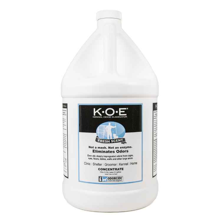Picture of KOE CONCENTRATE FRESH SCENT ODOR ELIMINATOR - 1gal