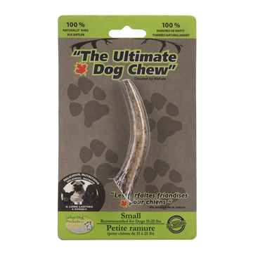 Picture of ULTIMATE ELK ANTLER DOG CHEW Small - 4in