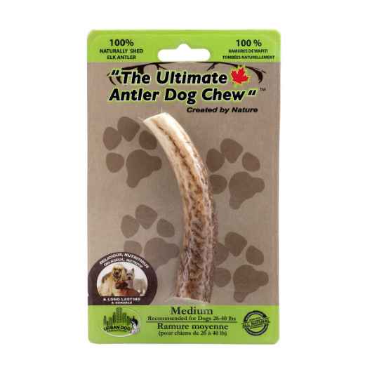 Picture of ULTIMATE ELK ANTLER DOG CHEW Medium - 5in