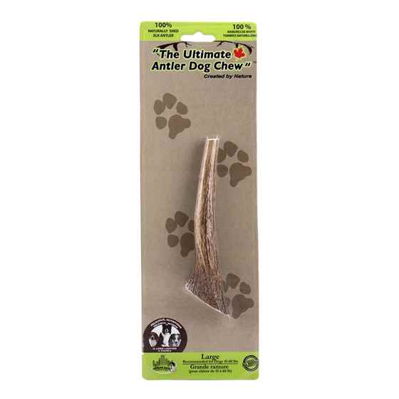 Picture of ULTIMATE ELK ANTLER DOG CHEW Large - 7in