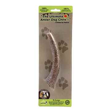 Picture of ULTIMATE ELK ANTLER DOG CHEW X Large - 8in
