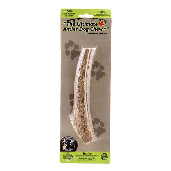 Picture of ULTIMATE ELK ANTLER DOG CHEW Jumbo - 10in