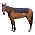 Picture of BACK ON TRACK EQUINE BACK WARMER BLACK - 100cm x 100cm