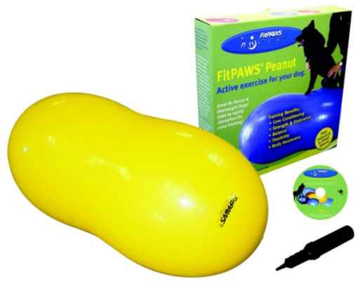 Picture of FITPAWS CANINE CONDITIONING Peanut Yellow 70cm - Kit