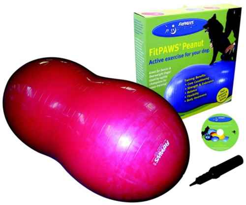 Picture of FITPAWS CANINE CONDITIONING Peanut Red 80cm - Kit