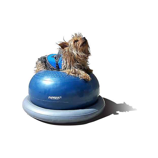 Picture of FITPAWS CANINE CONDITIONING Donut Holder Only