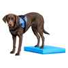 Picture of FITPAWS CANINE CONDITIONING Balance Pad - 15x18.25x2in