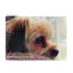 Picture of SYMPATHY CARDS W/ENV for SMALL BREED DOGS - 25/pk