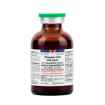 Picture of VITAMIN B12 5000mcg/ml INJECTION - 30ml (SU 50)