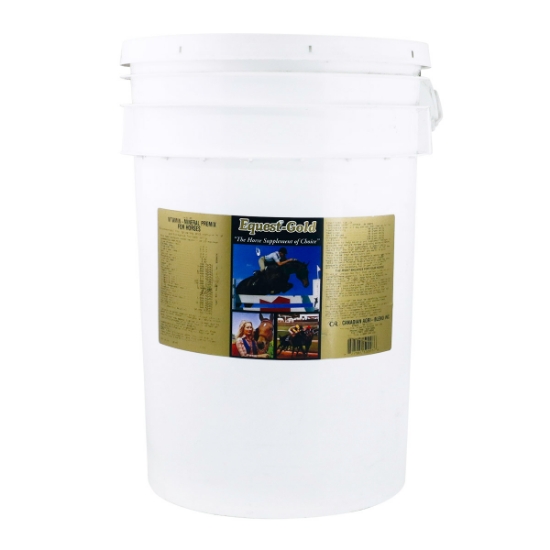 Picture of EQUEST GOLD HORSE - 18kg