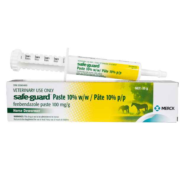 Picture of SAFE-GUARD 10% PASTE - 12 x 25gm (SU 4)