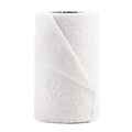 Picture of COFLEX BANDAGE WHITE - 4in x 5yds