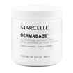 Picture of DERMABASE - 460gm (SU 24)