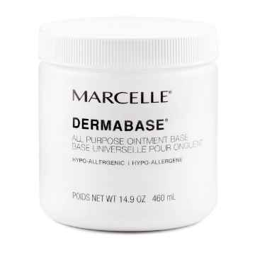 Show details for DERMABASE - 460gm (su24) Picture of DERMABASE - 460gm (su24)