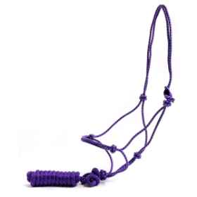 Show details for HALTER POLY TIE ROPE Assorted - Horse Picture of HALTER POLY TIE ROPE Assorted - Horse