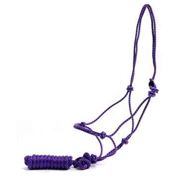 Picture of HALTER POLY TIE ROPE Assorted - Horse