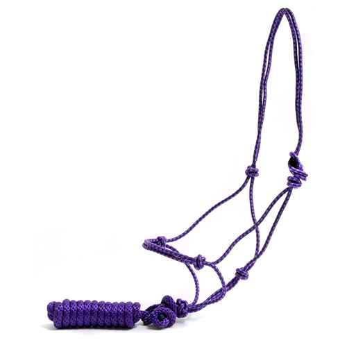 Picture of HALTER POLY TIE ROPE Assorted - Horse