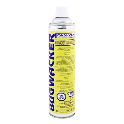 Picture of BUGWACKER TALL AEROSOL - 600g