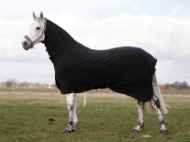 Picture of BACK ON TRACK FLEECE RUG w/ NECK BLACK 75in