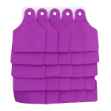 Picture of ALLFLEX TAG GLOBAL LARGE BLANK PURPLE - 25/bag