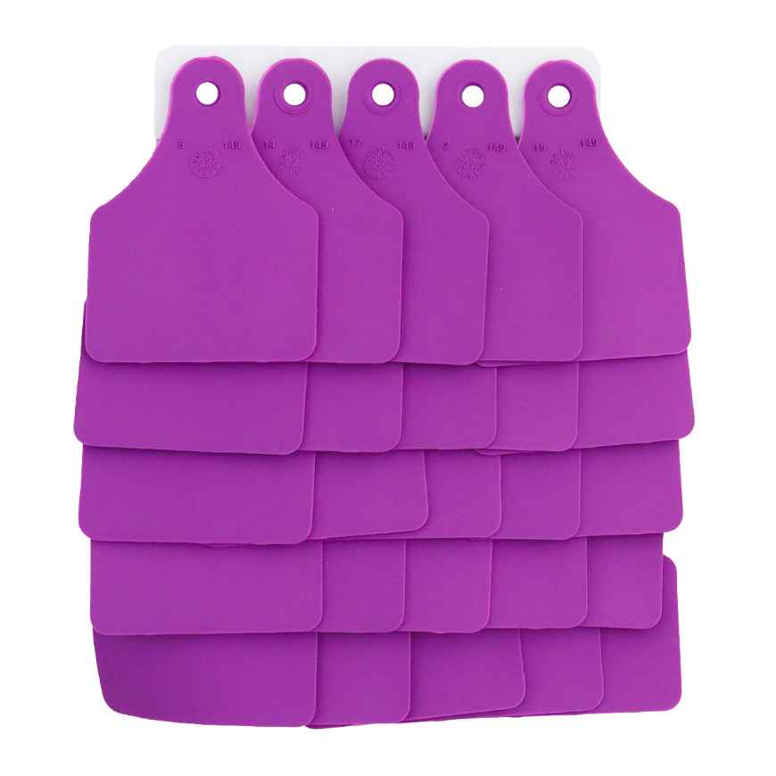 Picture of ALLFLEX TAG GLOBAL LARGE BLANK PURPLE - 25/bag