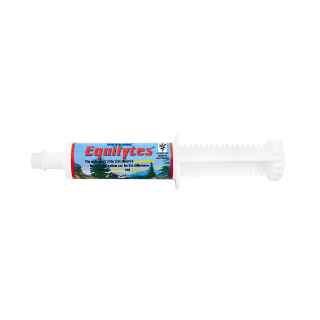 Picture of EQUILYTES PASTE - 60g Tube