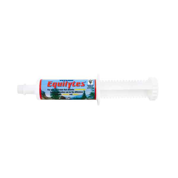 Picture of EQUILYTES PASTE - 60g Tube