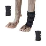 Picture of BACK ON TRACK DOG LEG WRAP with VELCRO STRAPS Black 14cm x 11cm - Pair