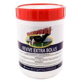 Picture of REVIVE EXTRA BOLUS - 35s