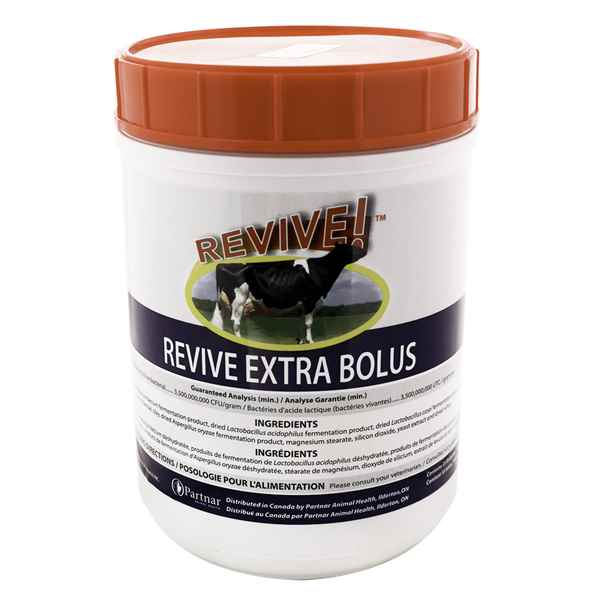 Picture of REVIVE EXTRA BOLUS - 35s