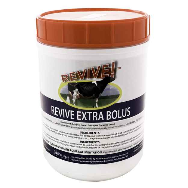 Picture of REVIVE EXTRA BOLUS - 35s