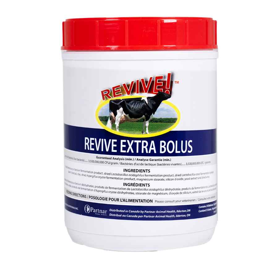 Picture of REVIVE EXTRA BOLUS - 35s
