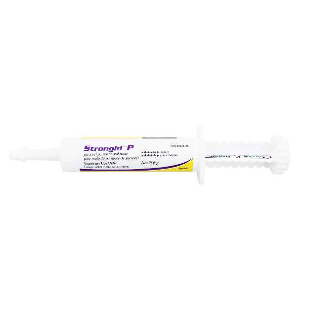 Picture of STRONGID-P PASTE SYRINGE 12 x 23.6g syr (su 3)