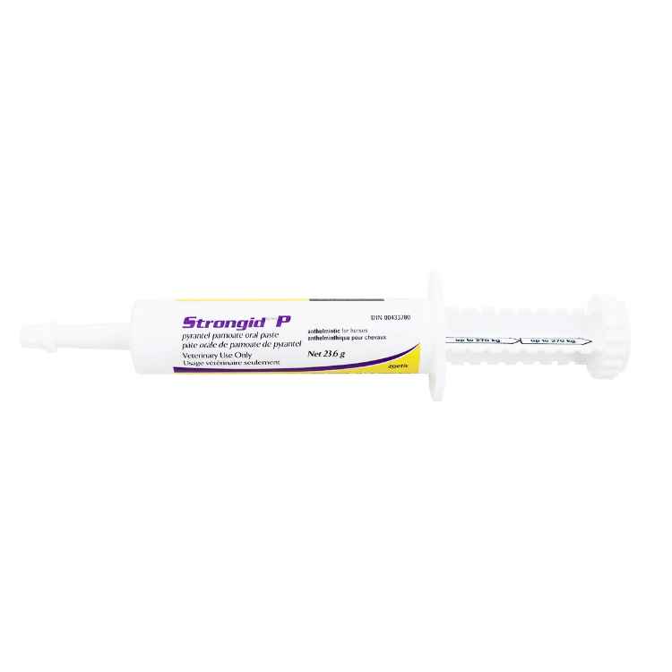 Picture of STRONGID-P PASTE SYRINGE 12 x 23.6g syr (su3)