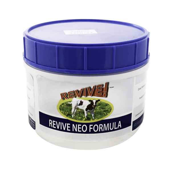 Picture of REVIVE NEO POWDER - 500gm